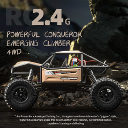 JJRC C8808 1/18 4WD Brush Motor RC Car