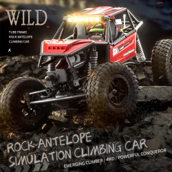 JJRC C8808 1/18 4WD Brush Motor RC Car